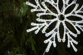 Big silver christmas decorative snowflake on green pine branches Royalty Free Stock Photo