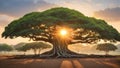 Big size natural banyan tree with the sunrise background. Image is generated with the use of an Artificial intelligence