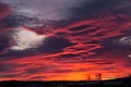 Big sky, dramatic red sunset with blue clouds, horizon with trees. Red-yellow fiery, burning like a flame the evening sky. Royalty Free Stock Photo