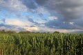 Big Sky in Mills River, NC Royalty Free Stock Photo