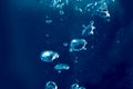 Big and small air bubbles rise in the water from the bottom to the surface, blue background, concept sparkling water, drown, Royalty Free Stock Photo