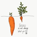 Big and small carrot and word success is not always what you see cartoon watercolour painting, Business concept