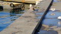 Big and small colorful seagulls near the port of KadÃÂ±koy,