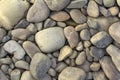 Big and small grey river stones close up background Royalty Free Stock Photo