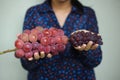 Big and Small Japanese grapes