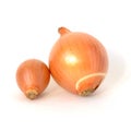 Big and small onions with peel isolated on white Royalty Free Stock Photo