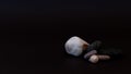 Seashells and stones on a black background