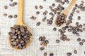 Big and small spoons filled with coffee beans Royalty Free Stock Photo