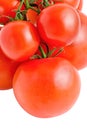 Big and small tomatoes on branch isolated Royalty Free Stock Photo