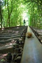 Big snail on the track. Railway between the trees that create a tunnel of green leaves.