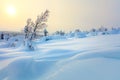 Big Snow Northern Winter Sunset Landscape