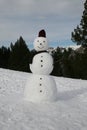 Big Snowman