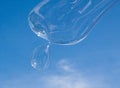 Big soap bubble Royalty Free Stock Photo