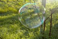 Big soap bubble flying in the air Royalty Free Stock Photo