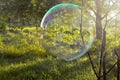 Big soap bubble flying in the air Royalty Free Stock Photo