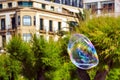 The big soap bubble flying on a background of trees in the park. Summer sunny day Royalty Free Stock Photo