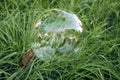 Big soap bubble lying in the grass Royalty Free Stock Photo