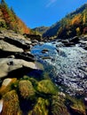 Big South Fork River Royalty Free Stock Photo