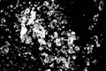 Big spalash.. Water drops in the air with defocused lights on background Royalty Free Stock Photo