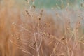 Spider net in foggy landscape with drop of water Royalty Free Stock Photo