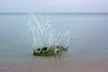 Big splash on a sea water