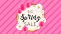 Big Spring sale banner template with camomiles and rose flower on pink stripes background and gold frame. Spring offer Royalty Free Stock Photo