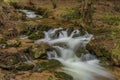 Big spring water on nice creek in spring day in Krusne mountains Royalty Free Stock Photo