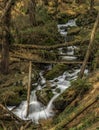 Big spring water on nice creek in spring day in Krusne mountains Royalty Free Stock Photo