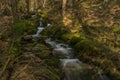 Big spring water on nice creek in spring day in Krusne mountains Royalty Free Stock Photo