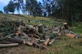 Big stack of firewood collected from the nearby eucalyptic trees