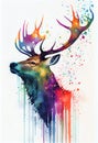 Big Stag deer buck antlers Royalty Free Stock Photo