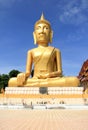 Big statue image of buddha