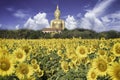 Big statue image of Buddha Royalty Free Stock Photo