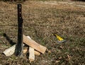 Big steel knife or machete stuck in the ground, firewood and axe lying on the grass.