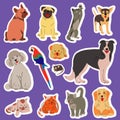 Big stickers collection with cute domestic pets portrait. Royalty Free Stock Photo