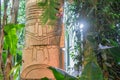 Big stone Aztec stature in tropical forest