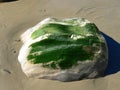 Big stone covered with alga