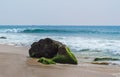 Big stone covered algae lying on sand at surf zone on a background of the sea Royalty Free Stock Photo