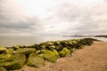 Big stone covered with green seaweed at sea Royalty Free Stock Photo