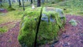 Big stone in the forest, covered with green moss and autumn forest. The stone is split in half. Zilaiskalns, one of Royalty Free Stock Photo