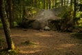 Big stone in forest, who looks like bench, Latvia Royalty Free Stock Photo