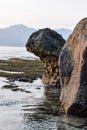 Big stone in the trbig stone in Tansparent sea water with plant and sand, Asia Indonesia Royalty Free Stock Photo