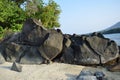 Big stone in the trbig stone in Tansparent sea water with plant and sand, Asia Indonesia Royalty Free Stock Photo