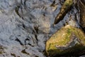 Big stone at water shore