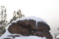 Big stone in winter siberian forest