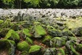 Big stones in the andesite stone sea Royalty Free Stock Photo