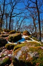 Big stones with moss under blue sky in the forest Royalty Free Stock Photo