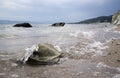 Big stones on the sea shore. Wet sand, transparent water. Overcast cloudy sky. Royalty Free Stock Photo