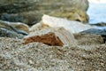 Big stones on the seashore. Closeup photo Royalty Free Stock Photo