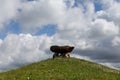 Big stones structure on top of a hill